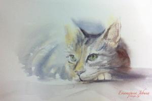 Watercolor: Cat