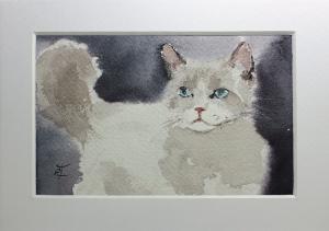 Watercolor: Cat 