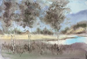 Watercolor: Landscape with birches